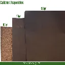 5 (29).webp