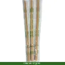 POCESCO22BIO (2).webp