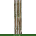 POGES26BIO (2).webp