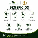 Beneficios.webp
