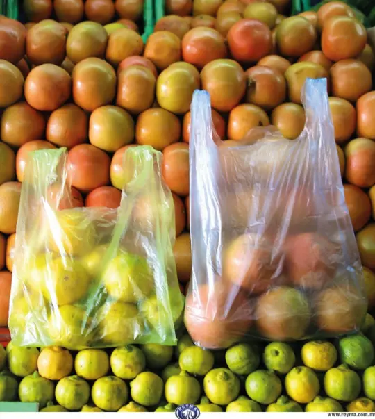 BOLSA POLISEDA FUELLE MUESTRA.webp