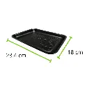 CH007NE MEDIDA .webp