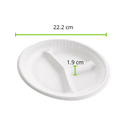 PLATO TERMICO 8 DIVISIÓN REYMA 25 PAQ/20 PZAS 