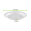 PLATO TERMICO 8 LISO REYMA 1 PAQ/20 PZAS  