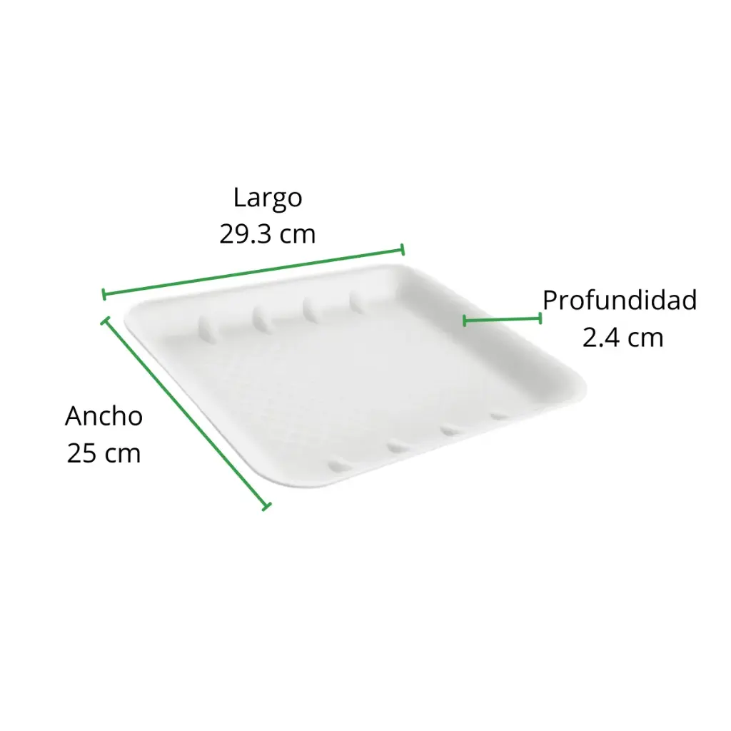 [CH9H-R2M2S1] CHAROLA TERMICA 9H REYMA 1 PAQ/50 PZAS