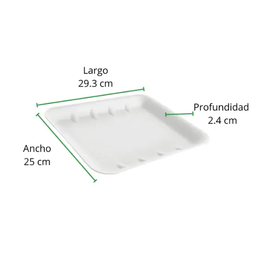 [CH9H-R2M2S1] CHAROLA TERMICA 9H REYMA 1 PAQ/50 PZAS